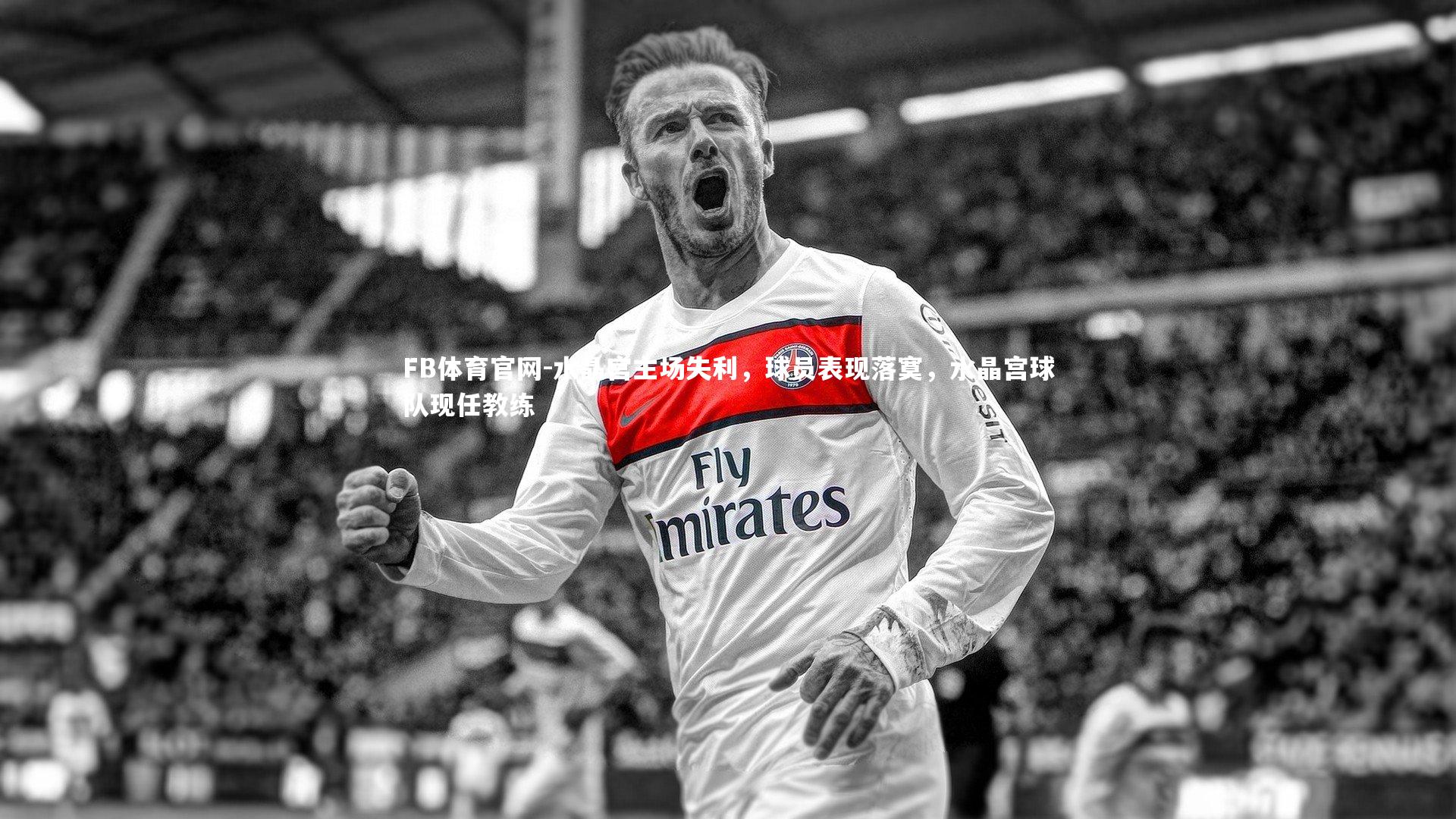 FB体育官网-水晶宫主场失利,球员表现落寞,水晶宫球队现任教练