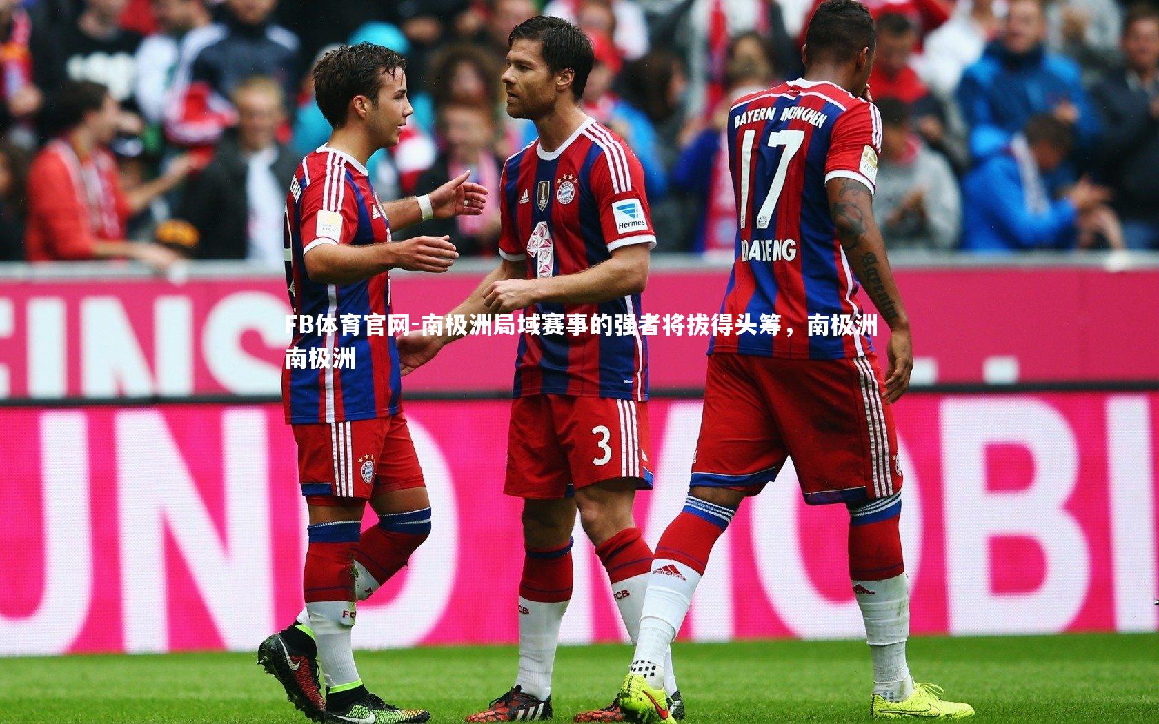 南极洲局域赛事的强者将拔得头筹,南极洲南极洲