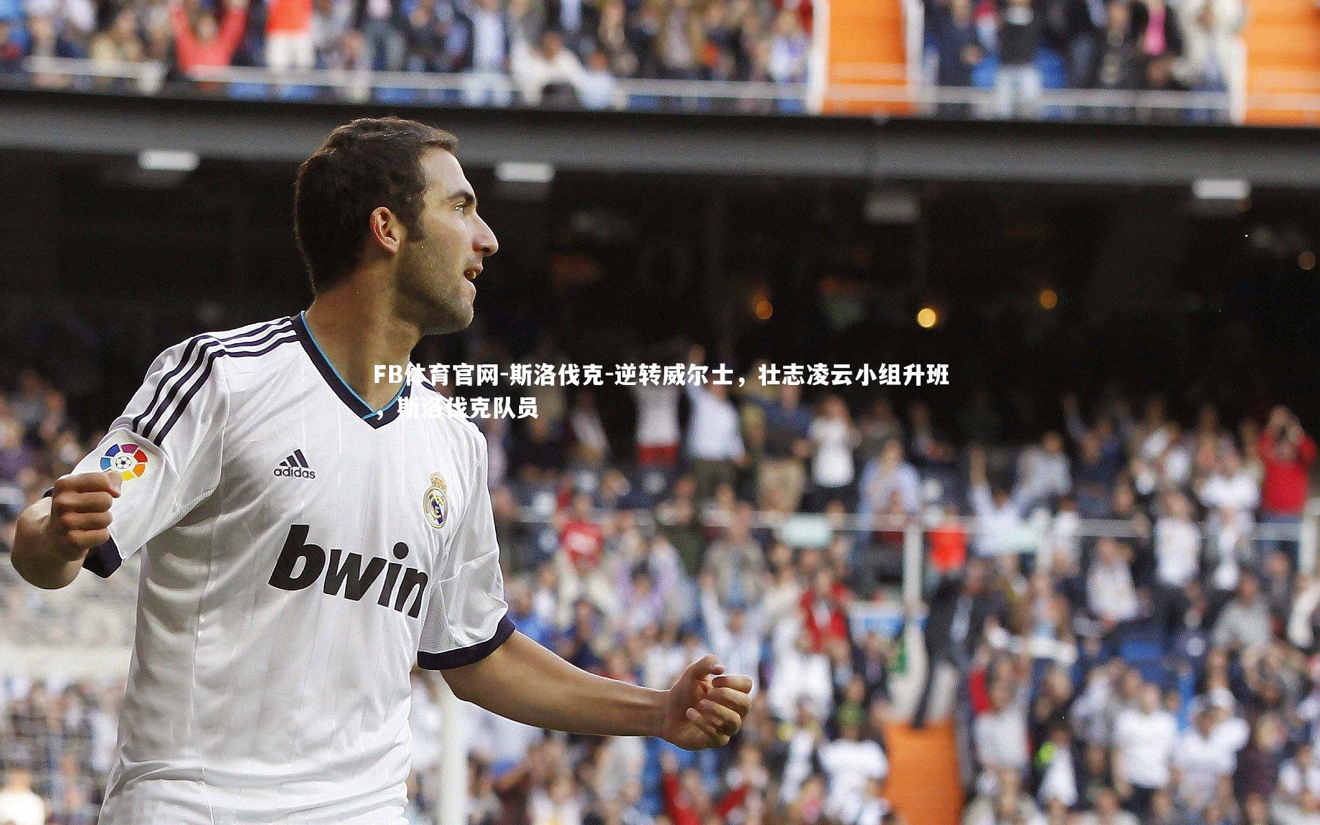 FB体育官网-斯洛伐克-逆转威尔士,壮志凌云小组升班,斯洛伐克队员