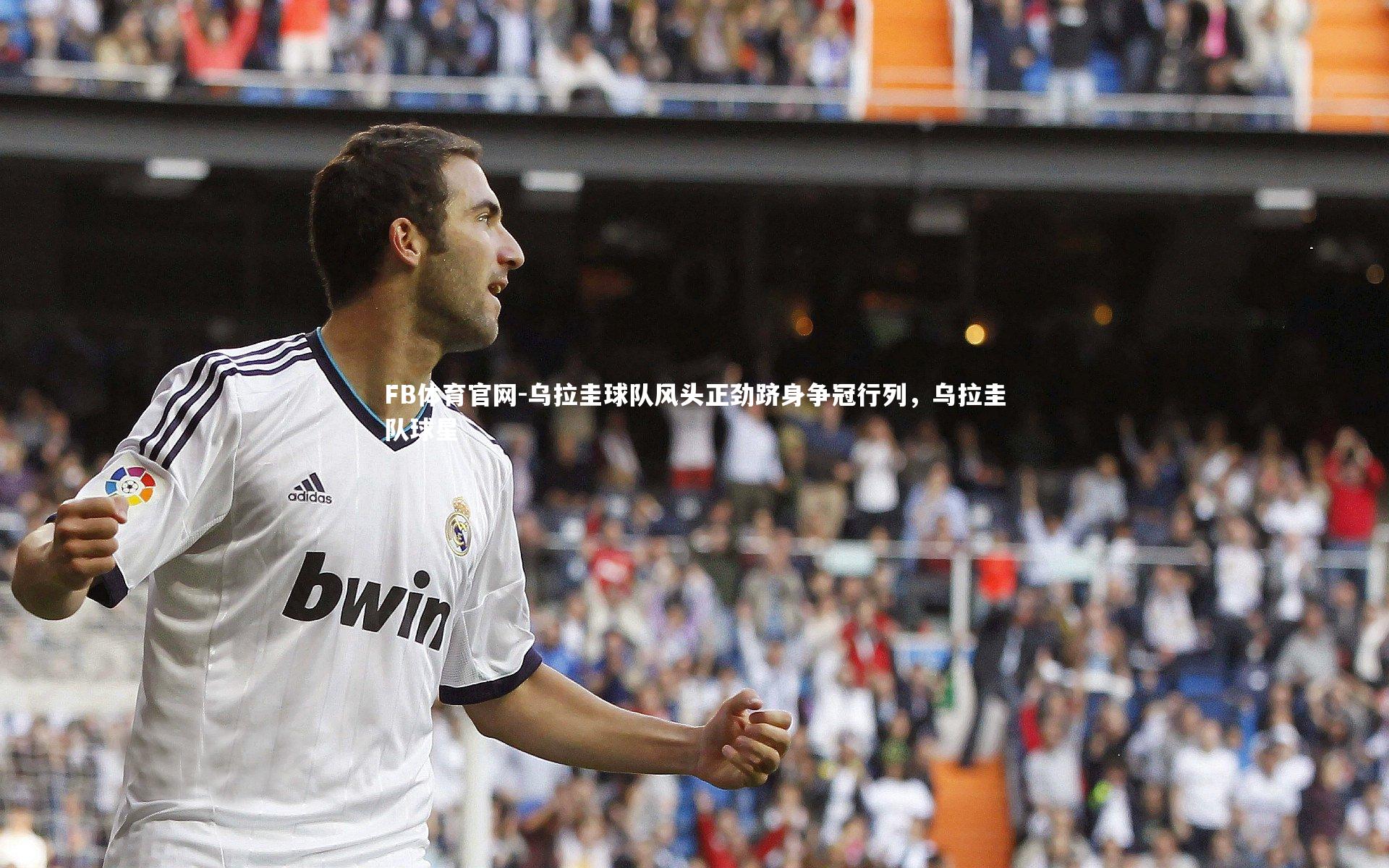 乌拉圭球队风头正劲跻身争冠行列，乌拉圭队球星