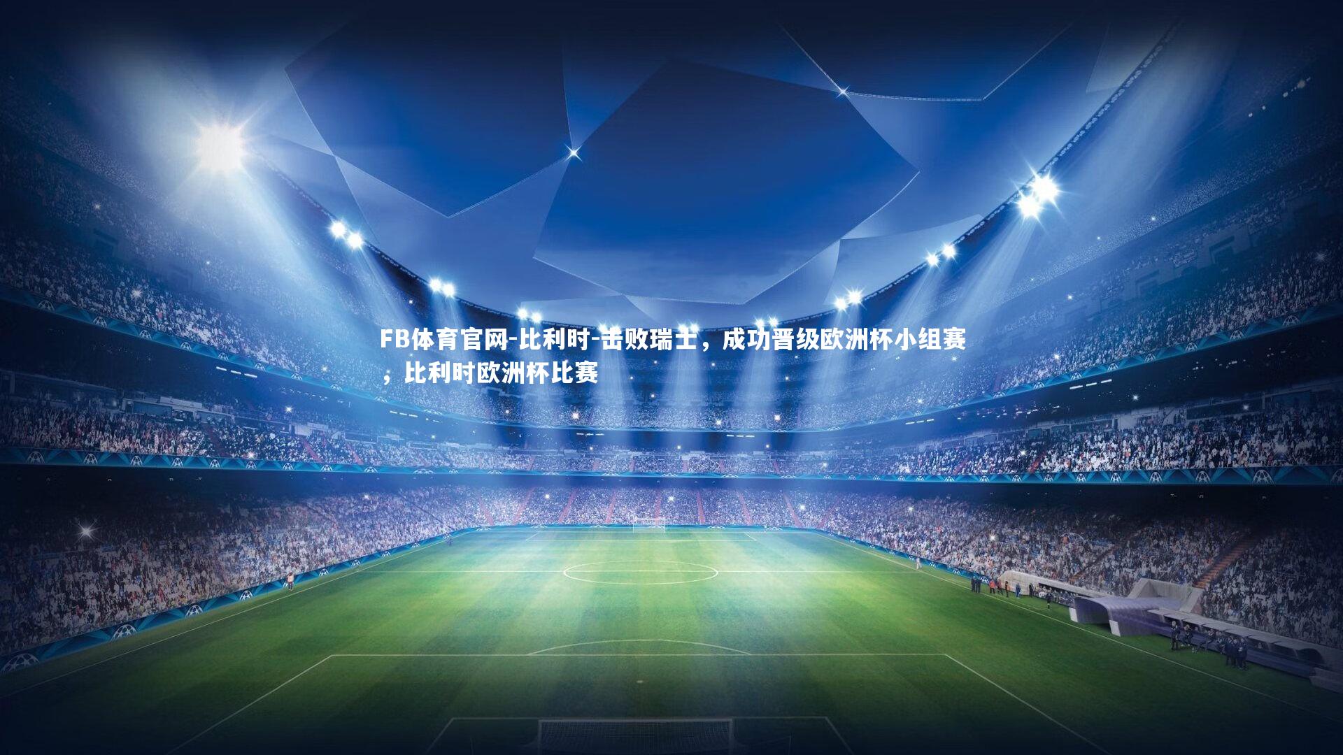 FB体育官网-比利时-击败瑞士，成功晋级欧洲杯小组赛，比利时欧洲杯比赛