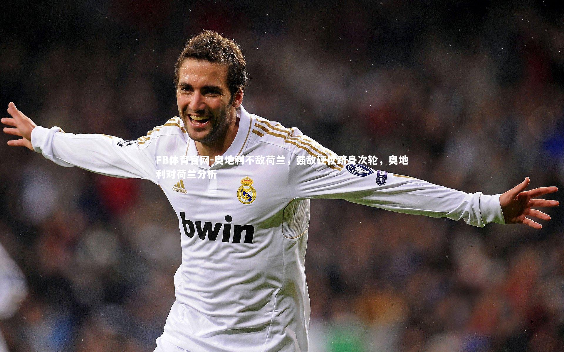 奥地利不敌荷兰，强敌硬仗跻身次轮，奥地利对荷兰分析