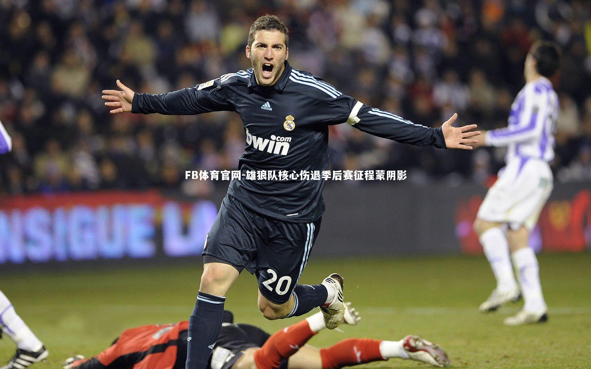 FB体育官网-雄狼队核心伤退季后赛征程蒙阴影